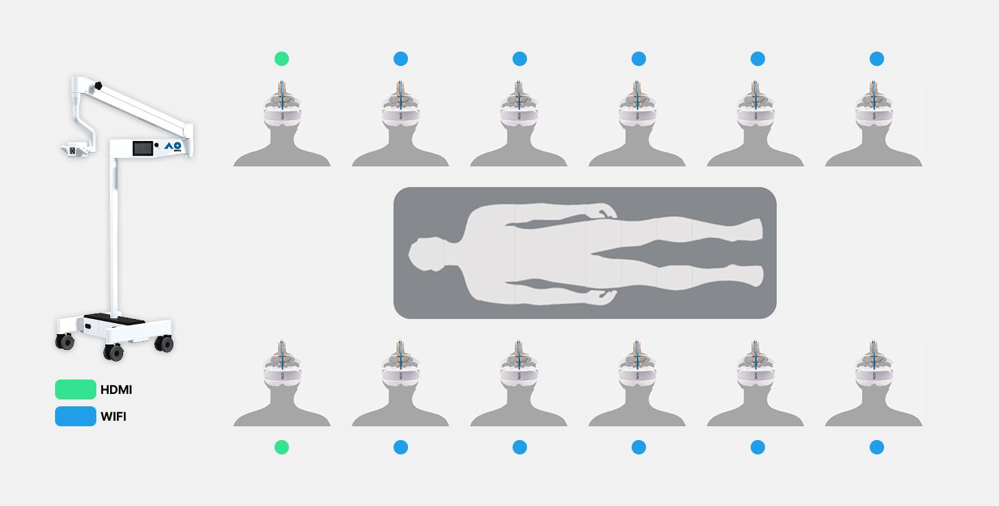 Anatomy Training Image