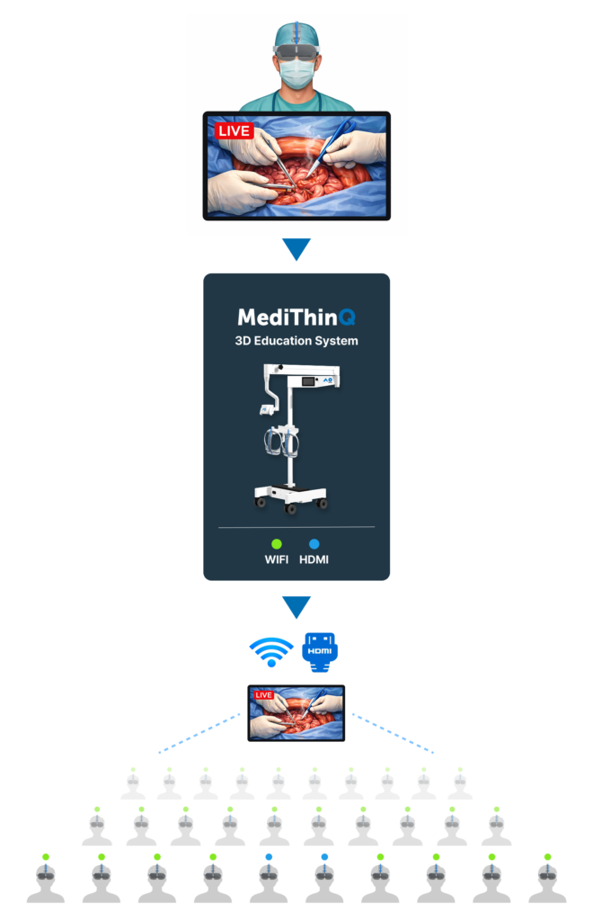 Anatomy Training lecture Image v0.5